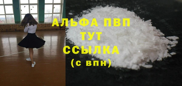 хмурый Верея