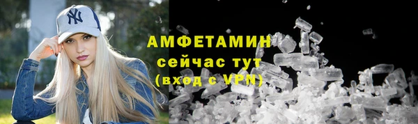 хмурый Верея
