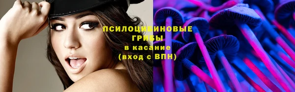 хмурый Верея