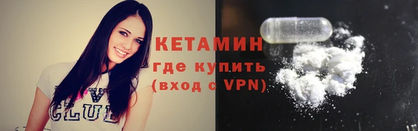 хмурый Верея