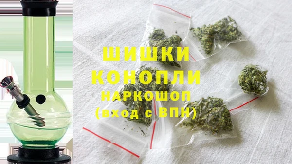 хмурый Верея