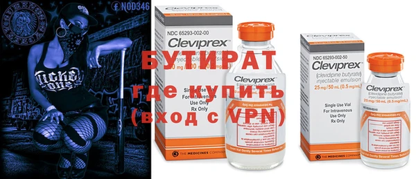 хмурый Верея