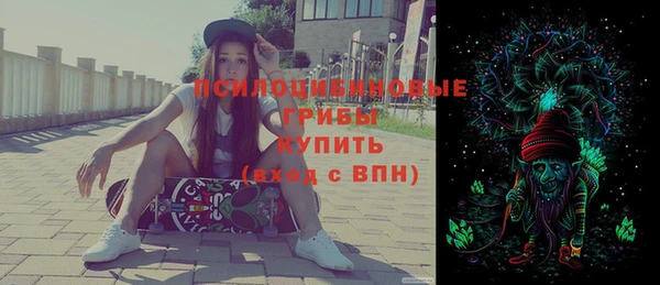 хмурый Верея
