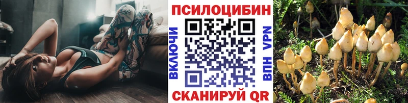 Псилоцибиновые грибы ЛСД  Павловская 